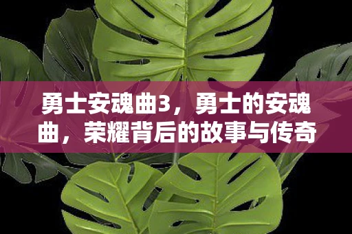勇士安魂曲3，勇士的安魂曲，荣耀背后的故事与传奇
