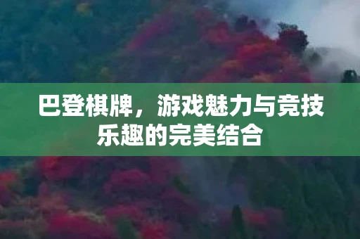 巴登棋牌，游戏魅力与竞技乐趣的完美结合
