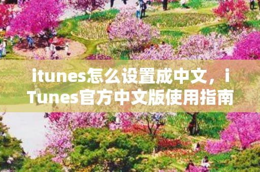 itunes怎么设置成中文，iTunes官方中文版使用指南，如何设置和使用中文版的iTunes