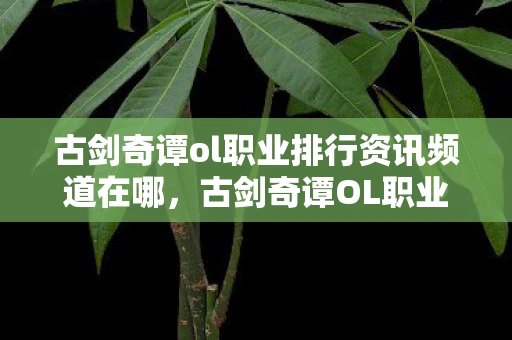 古剑奇谭ol职业排行资讯频道在哪,古剑奇谭OL职业排行资讯频道 古剑奇谭ol职业排行资讯频道在哪,古剑奇谭OL职业排行资讯频道