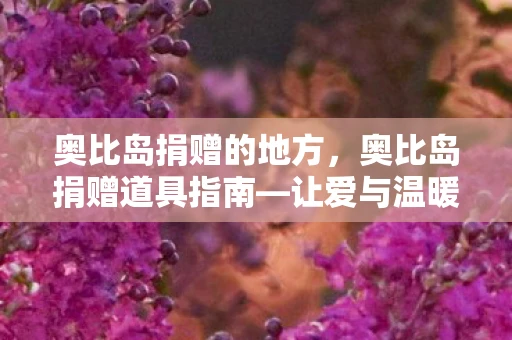 奥比岛捐赠的地方，奥比岛捐赠道具指南—让爱与温暖传递