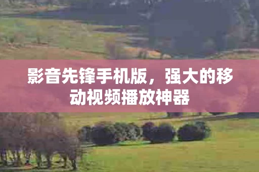 强大的移动视频播放神器图片