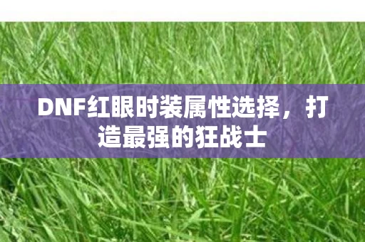 DNF红眼时装属性选择图片