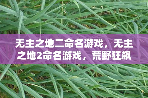 无主之地二命名游戏，无主之地2命名游戏，荒野狂飙