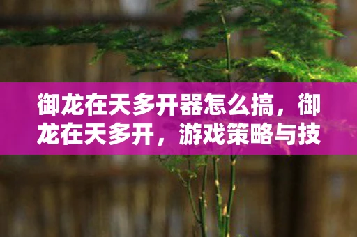 御龙在天多开器怎么搞，御龙在天多开，游戏策略与技巧资讯