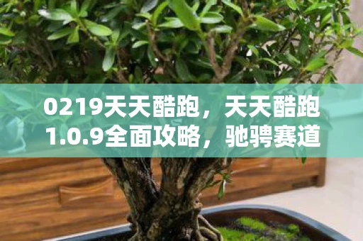 0219天天酷跑,天天酷跑1.0.9全面攻略,驰骋赛道,挑战跑酷新高度 0219天天酷跑,天天酷跑1.0.9全面攻略,驰骋赛道,挑战跑酷新高度
