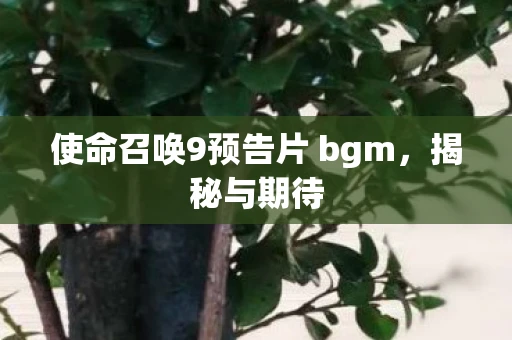 使命召唤9预告片 bgm，揭秘与期待