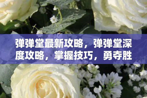 弹弹堂最新攻略,弹弹堂深度攻略,掌握技巧,勇夺胜利 弹弹堂最新攻略,弹弹堂深度攻略,掌握技巧,勇夺胜利