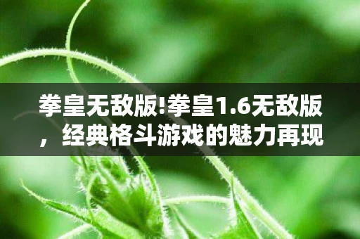 拳皇无敌版!拳皇1.6无敌版,经典格斗游戏的魅力再现 拳皇无敌版!拳皇1.6无敌版,经典格斗游戏的魅力再现