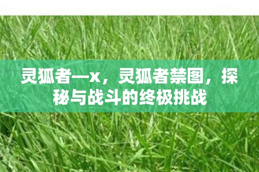 灵狐者—x，灵狐者禁图，探秘与战斗的终极挑战