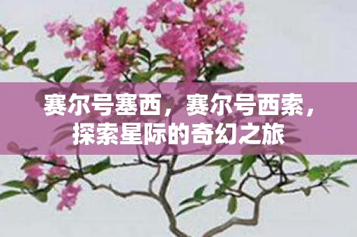 赛尔号塞西,赛尔号西索,探索星际的奇幻之旅 赛尔号塞西,赛尔号西索,探索星际的奇幻之旅