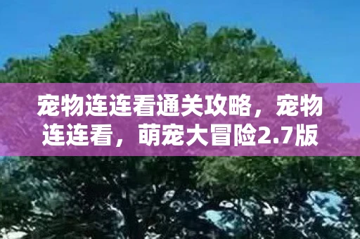 宠物连连看通关攻略,宠物连连看,萌宠大冒险2.7版—全新体验,乐趣无穷 宠物连连看通关攻略,宠物连连看,萌宠大冒险2.7版—全新体验,乐趣无穷