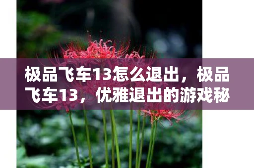 极品飞车13怎么退出,极品飞车13,优雅退出的游戏秘籍 极品飞车13怎么退出,极品飞车13,优雅退出的游戏秘籍