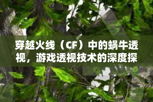 游戏透视技术的深度探讨图片