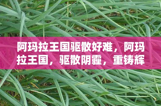 阿玛拉王国驱散好难,阿玛拉王国,驱散阴霾,重铸辉煌 阿玛拉王国驱散好难,阿玛拉王国,驱散阴霾,重铸辉煌