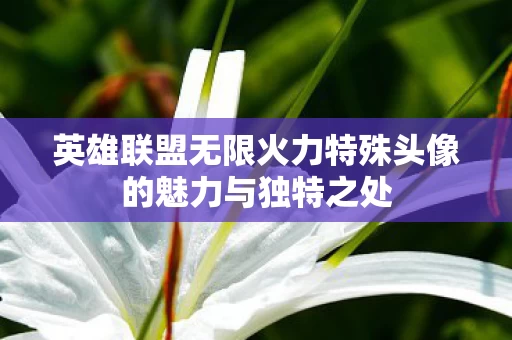 英雄联盟无限火力特殊头像的魅力与独特之处图片
