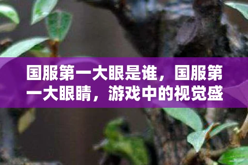 国服第一大眼是谁,国服第一大眼睛,游戏中的视觉盛宴与策略艺术 国服第一大眼是谁,国服第一大眼睛,游戏中的视觉盛宴与策略艺术