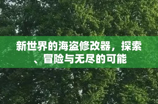 新世界的海盗修改器图片