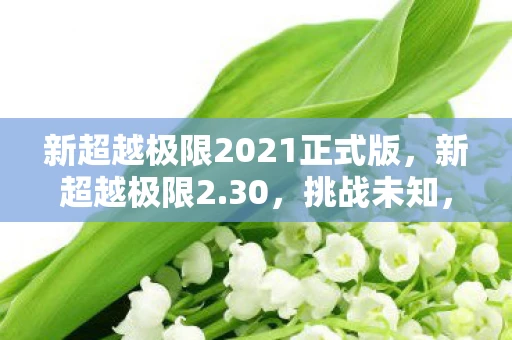新超越极限2021正式版,新超越极限2.30,挑战未知,超越自我 新超越极限2021正式版,新超越极限2.30,挑战未知,超越自我