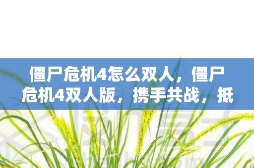 僵尸危机4怎么双人,僵尸危机4双人版,携手共战,抵御僵尸狂潮 僵尸危机4怎么双人,僵尸危机4双人版,携手共战,抵御僵尸狂潮