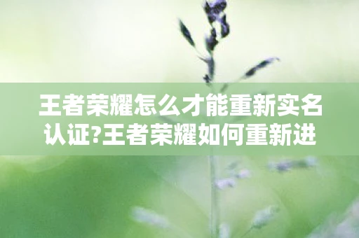 王者荣耀怎么才能重新实名认证?王者荣耀如何重新进行实名认证 王者荣耀怎么才能重新实名认证?王者荣耀如何重新进行实名认证