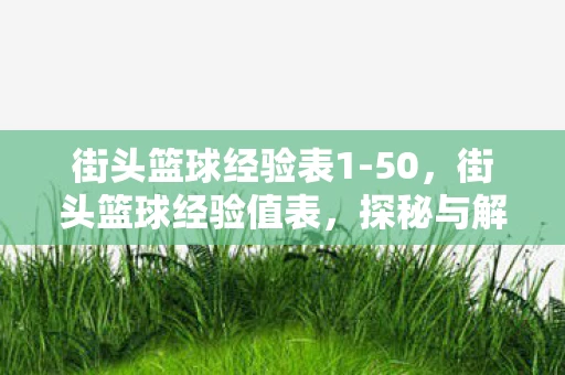 街头篮球经验表1-50，街头篮球经验值表，探秘与解析