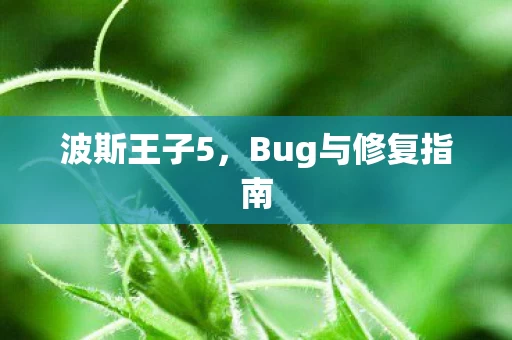 Bug与修复指南图片