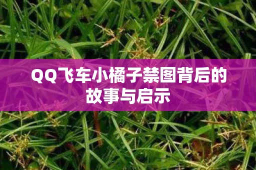 QQ飞车小橘子禁图背后的故事与启示 QQ飞车小橘子禁图背后的故事与启示