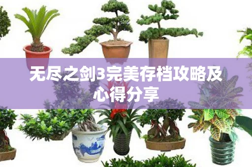 无尽之剑3完美存档攻略及心得分享图片