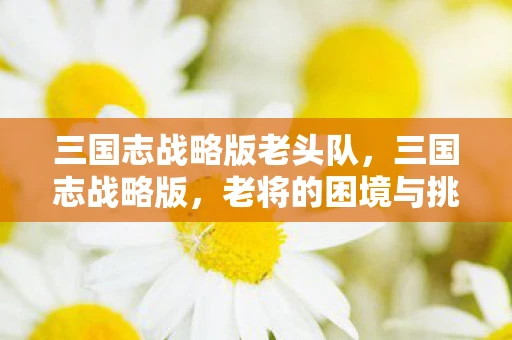 三国志战略版老头队，三国志战略版，老将的困境与挑战