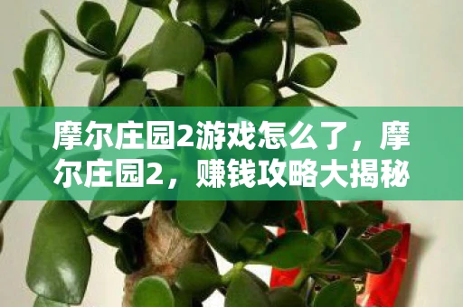 摩尔庄园2游戏怎么了，摩尔庄园2，赚钱攻略大揭秘