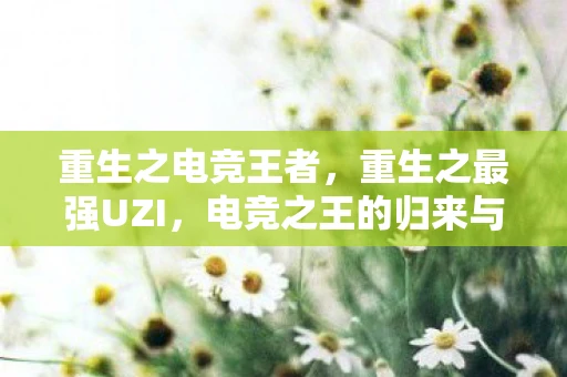 重生之电竞王者，重生之最强UZI，电竞之王的归来与荣耀之路