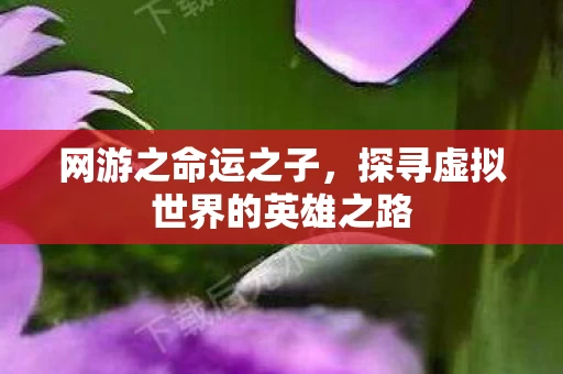 探寻虚拟世界的英雄之路图片