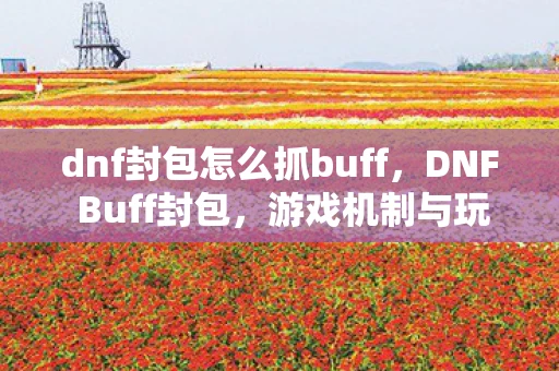 dnf封包怎么抓buff，DNF Buff封包，游戏机制与玩家策略