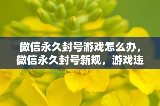 微信永久封号游戏怎么办,微信永久封号新规,游戏违规行为深度剖析 微信永久封号游戏怎么办,微信永久封号新规,游戏违规行为深度剖析