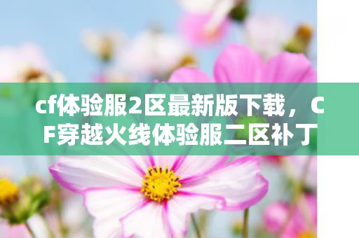 cf体验服2区最新版下载,CF穿越火线体验服二区补丁官方下载指南 cf体验服2区最新版下载,CF穿越火线体验服二区补丁官方下载指南