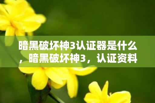 暗黑破坏神3认证器是什么，暗黑破坏神3，认证资料的重要性和策略