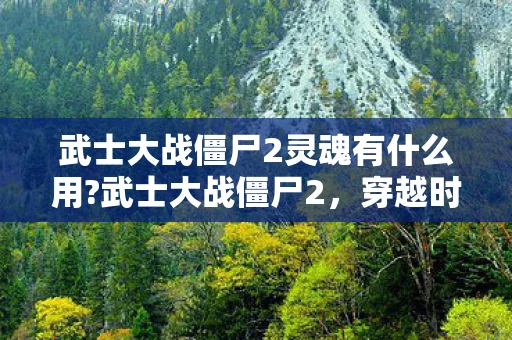 武士大战僵尸2灵魂有什么用?武士大战僵尸2,穿越时空的决战深度解析 武士大战僵尸2灵魂有什么用?武士大战僵尸2,穿越时空的决战深度解析