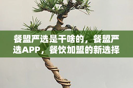 餐盟严选是干啥的,餐盟严选APP,餐饮加盟的新选择 餐盟严选是干啥的,餐盟严选APP,餐饮加盟的新选择