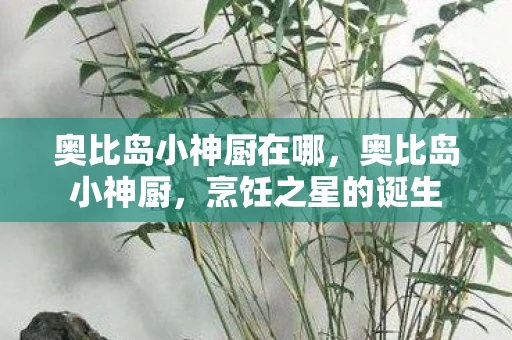 奥比岛小神厨在哪,奥比岛小神厨,烹饪之星的诞生 奥比岛小神厨在哪,奥比岛小神厨,烹饪之星的诞生