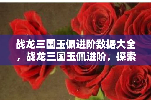 战龙三国玉佩进阶数据大全，战龙三国玉佩进阶，探索玉佩进阶的奥秘