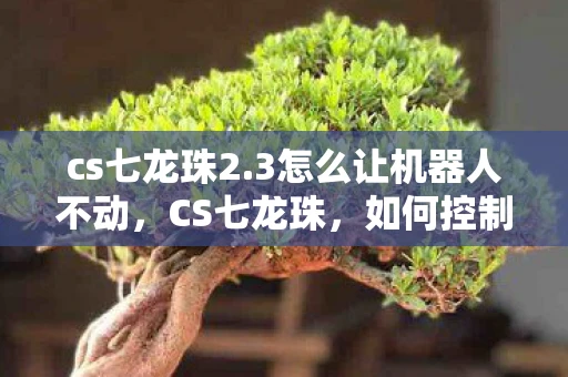 cs七龙珠2.3怎么让机器人不动,CS七龙珠,如何控制机器人静止不动?实用指南 cs七龙珠2.3怎么让机器人不动,CS七龙珠,如何控制机器人静止不动?实用指南