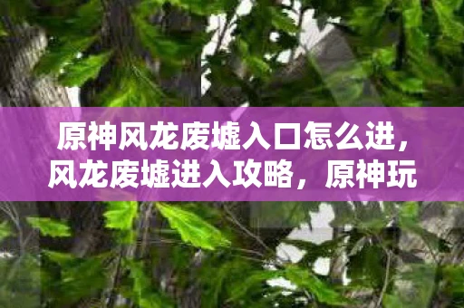 原神风龙废墟入口怎么进,风龙废墟进入攻略,原神玩家的必备指南 原神风龙废墟入口怎么进,风龙废墟进入攻略,原神玩家的必备指南