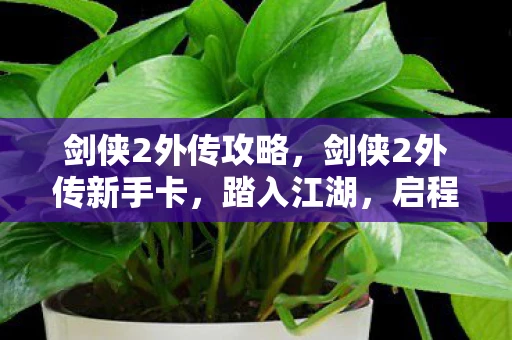 剑侠2外传攻略,剑侠2外传新手卡,踏入江湖,启程剑侠之路 剑侠2外传攻略,剑侠2外传新手卡,踏入江湖,启程剑侠之路