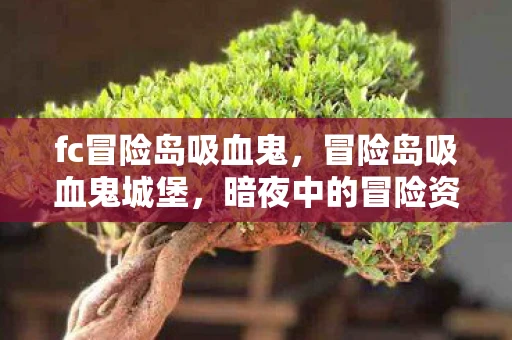 fc冒险岛吸血鬼,冒险岛吸血鬼城堡,暗夜中的冒险资讯频道 fc冒险岛吸血鬼,冒险岛吸血鬼城堡,暗夜中的冒险资讯频道