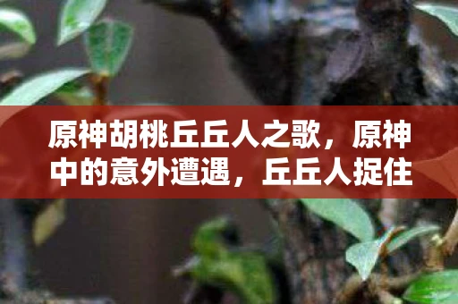 原神胡桃丘丘人之歌,原神中的意外遭遇,丘丘人捉住了胡桃 原神胡桃丘丘人之歌,原神中的意外遭遇,丘丘人捉住了胡桃
