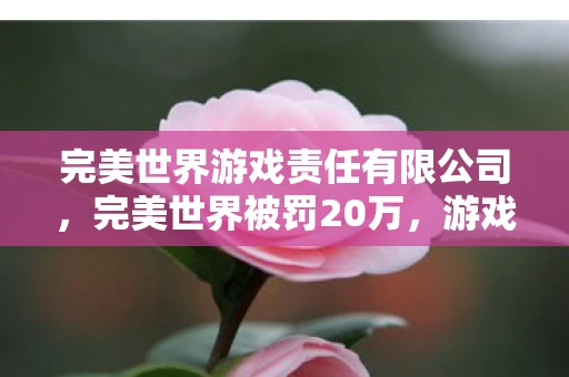 完美世界游戏责任有限公司,完美世界被罚20万,游戏行业监管加强引发业界关注 完美世界游戏责任有限公司,完美世界被罚20万,游戏行业监管加强引发业界关注
