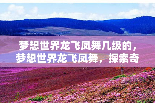 梦想世界龙飞凤舞几级的，梦想世界龙飞凤舞，探索奇幻之旅，舞动神话之翼