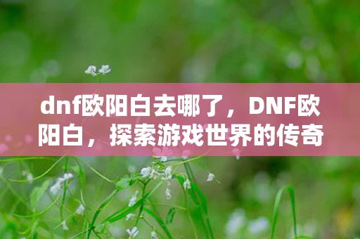 dnf欧阳白去哪了，DNF欧阳白，探索游戏世界的传奇人物
