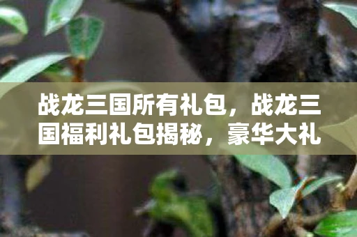 战龙三国所有礼包,战龙三国福利礼包揭秘,豪华大礼等你来拿! 战龙三国所有礼包,战龙三国福利礼包揭秘,豪华大礼等你来拿!